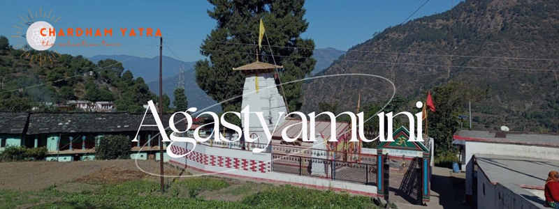 Augustmuni